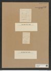 Diatomeae indet. Zeichnungen Sammlung Grunow Nr. 7576 (NHMW-BOT-W0376728)
